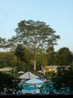 more images of the Nakakiri Resort and Spa in Kanchanaburi