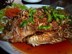 more images of the Nakakiri Resort and Spa in Kanchanaburi