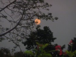 more images of the Nakakiri Resort and Spa in Kanchanaburi